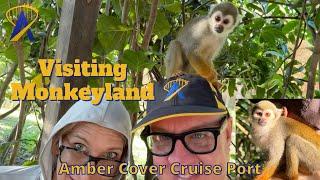 Monkeyland Excursion at Amber Cove Cruise Port