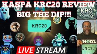 KRC20 Review and Updates!!! Kaspy will flip Kango #2 MC Soon!!!  #nacho #kaspy #burt #konan #kasreg