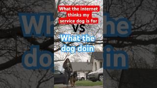 What the internet thinks VS what the dog doin