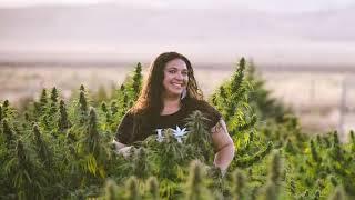 Colorado Hemp Legislation May Do More Harm Than Good