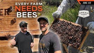 Every Farm Needs Honey Bees - To Improve Pollination and Production | Dream Farm w/ Bill Winke