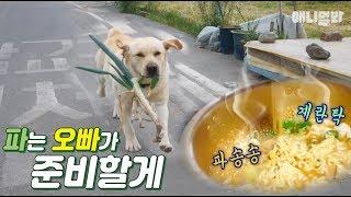 Genius Dog Brings Green Onions To Cook Ramen Lol