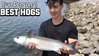 Mullet Fishing Swansea’s River Tawe - Hog Hunters (EP 2)