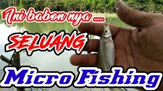 Mancing Ikan Seluang