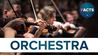 Top 10 Facts - Orchestra // topfact.net