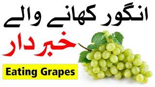 Angoor Khane Se Pehle Ye Video Zaroor Dekhin | angoor ke fayde |  Mehrban Ali | انگور | grape Grapes