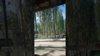 Табиати нотакрор
