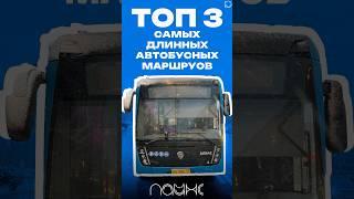 Самые длинные автобусные маршруты Москвы #мцд #автобус #bus #москва #транспорт #shorts #метро #d4