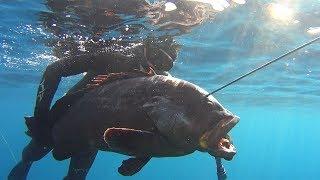 ΨαροντούφεκοΡΟΦΟΣ 27KG-Spearfishing Sakis Tsonis Dusky Grouper 27KG