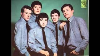 The Animals ~ Don't Let Me Be Misunderstood (1965)