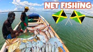 8 HRS NET FISHING FOR SNAPPERS & POMPANOS! EPIC #fishing #adventure