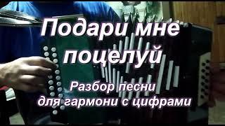 Подари мне поцелуй (гармонь)