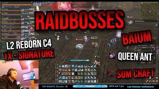 Raid Bosses [EPIC Baium/AQ] + SoM Craft - L2Reborn - 1X - Signature C4 - Multak88 CP by Likvidat0r