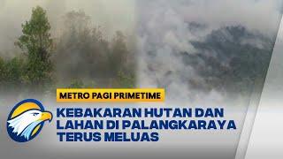 Ratusan Hektare Hutan dan Lahan di Palangkaraya Terbakar
