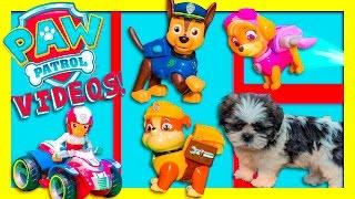 a Paw Patrol with Wiggles Funny Video compilation of Toy Parodies