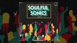 Soul Samples - Soulful Sonics Vol. 2 - Vintage Sample Pack