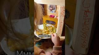 Мамина картошечка  #юмор #семья #жизнь #деревня #природа