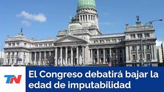 Enviaron al Congreso un proyecto para bajar la edad de imputabilidad