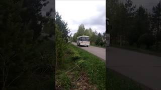 ПАЗ-32054 по маршруту №113 Труновское-Барабинск #transport