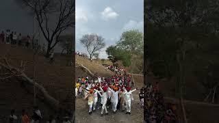 Aadivasi tholiya mandal ke sath  #dance _Aadivasi_#aadipurush #timli_status_2021 #timliofboriyala 