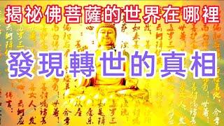 前台大校長李嗣涔博士，揭秘佛菩薩的世界在哪裡？研究發現不可思議的真相