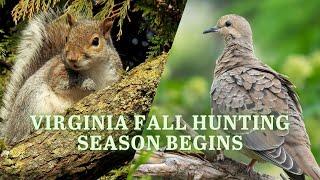 Get Ready for Hunting Season: Tips for Dove and Squirrel