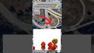Real Giant Raspberry on Google Maps#googleearth#googlemaps#googlestre
