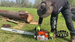 STIHL MS881 First Cuts