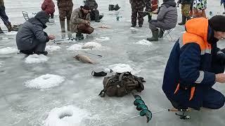 Калач на Дону 2021