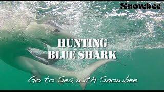 Shark Fishing - Sea fishing (Catching Huge Blue Shark in the UK)