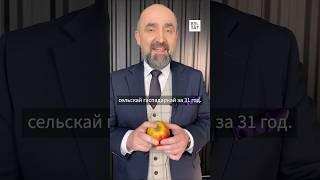 Што не так з беларускай сельскай гаспадаркай? #shorts