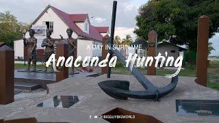 Unforgettable Anaconda Adventure in Suriname! 