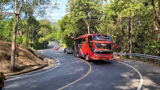 artis bus telolet mewahnya bus bansel mengular bagai ular piton