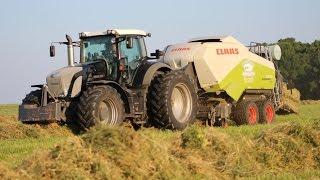 HAY HARVESTING