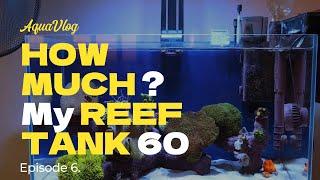 60L reef tank. How much? Episode 6.