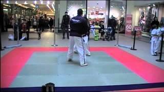 World jujitsu federation (wjjf) Ballymena demo 25/01/2012