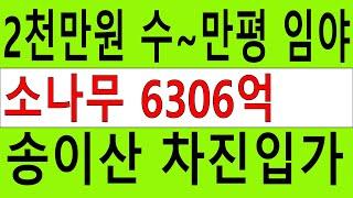 2천만원 수~만평 송이산 싼임야 남향 차진입가 자연인 전원생활 숲6차산업 숲가치6306억 탄소권2828만원 숲경영 약용재배 임업직불금 땅과함께(새희망을)경매임야 공매임야 나도땅주인