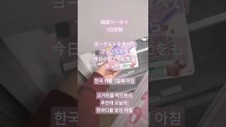韓国ワーホリ3日目朝、朝のひとこま＃ワーホリ＃韓国語＃Vlog＃韓国＃일본＃유학