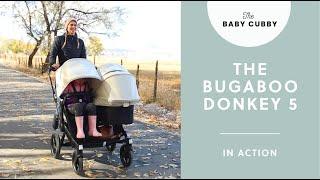 The Bugaboo Donkey 5 in DOUBLE Mode