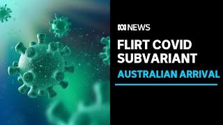 New FLiRT family of COVID subvariants arrives in Australia | ABC News