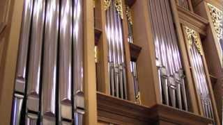 Steve Ketterer performs on his music hall's von Beckerath pipe organ.