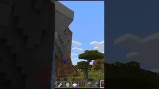 Minecraft5#shorts