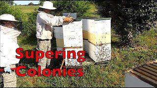 How and When We Super and Boost Our Colonies