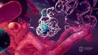 Nanoparticle-based drug delivery in the fight against cancer