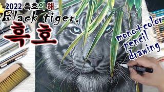 흑호 Black tiger. 2022년 흑호의해 호랑이 기운 받으세요.