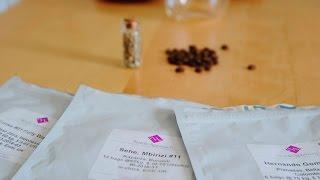 The Right Roast: Episode 73-Nordic Approach -Sourcing Great Coffee