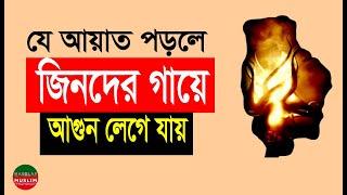 এই আয়াত পড়লে জীন কাছে আসতে পারেনা | জিনদের গায়ে জালাপোড়া শুরু হয়ে যায় | jin theke bachar amol