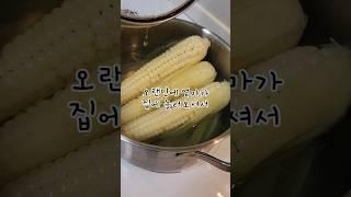 엄마도 인정한 맛! 탱글 쫄깃 너무 맛있는 찰옥수수 삶기