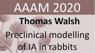 Thomas Walsh - Preclinical modelling of invasive aspergillosis in rabbits