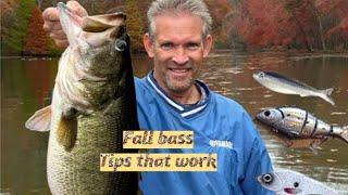 Fall bass fishing tips that actually work